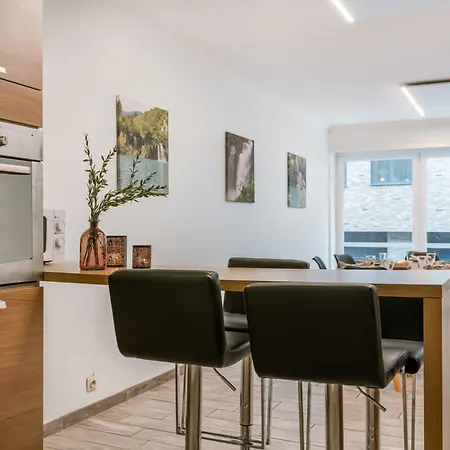 Spacious In The Center Of Apartment Ostend
